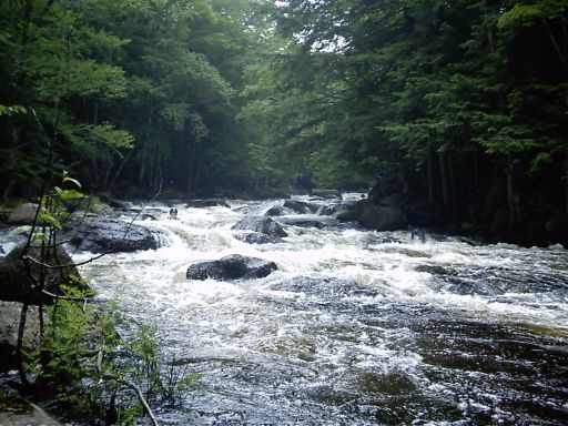 Drop 4A in Warner Gorge