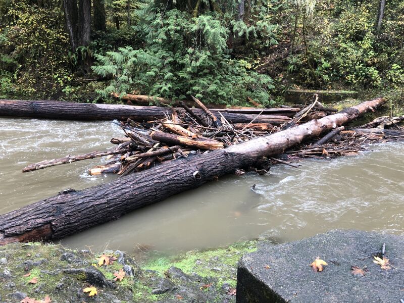 Log Jam / Portage