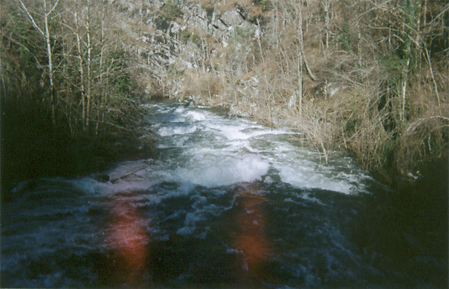 Below the bridge