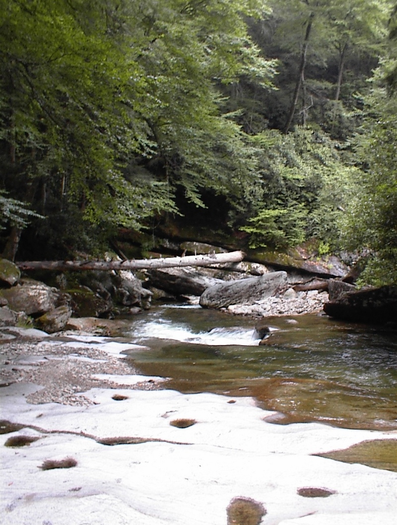 entrance to committing gorge