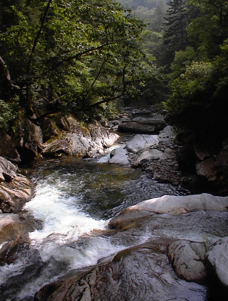 committing gorge