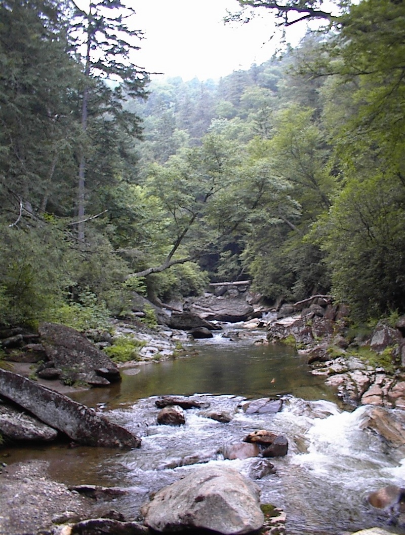 committing gorge from below
