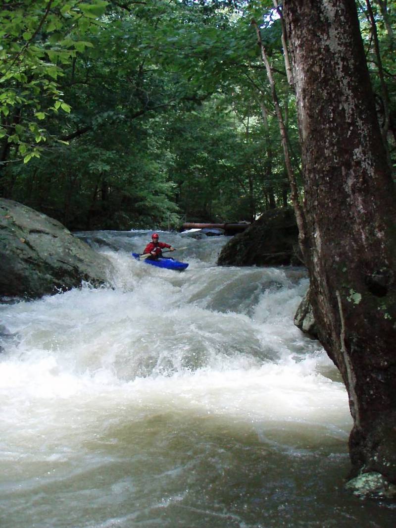 Stoney Creek