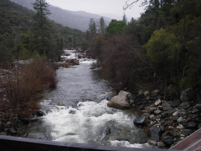 Looking up stream from Balch Camp