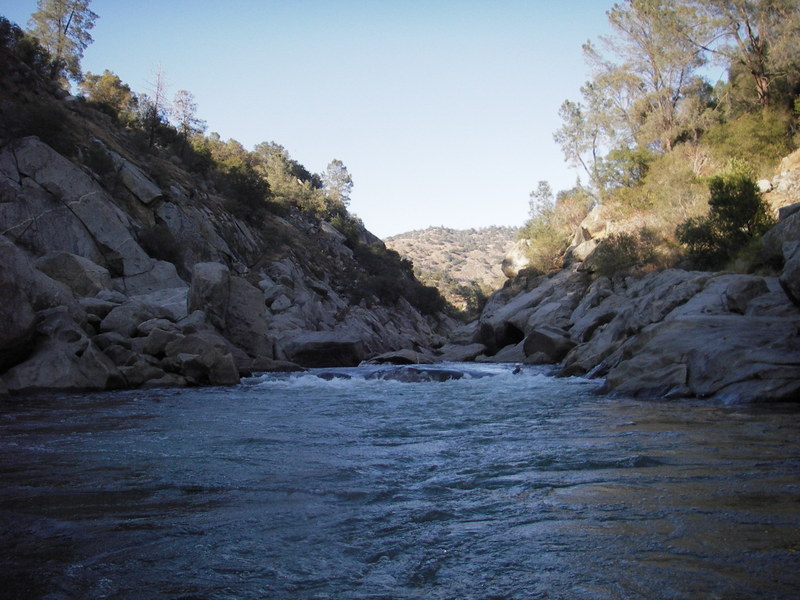 A Rapid