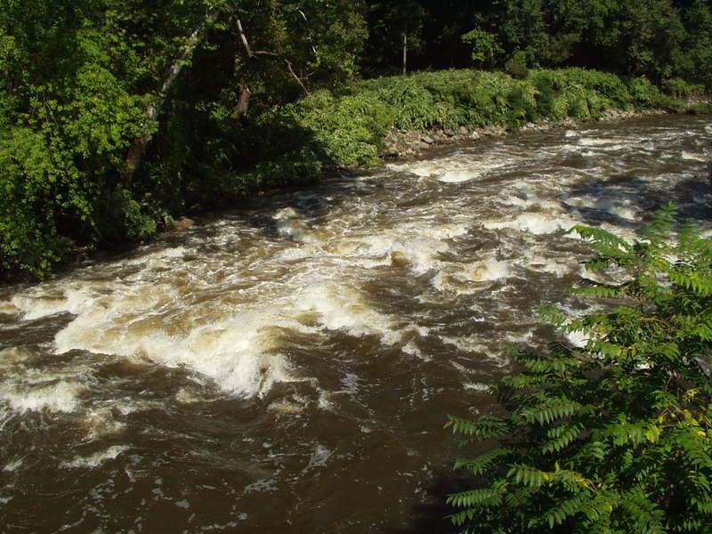 Moodna With Water