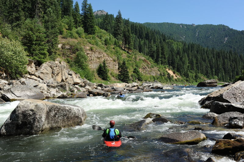 Snoden Creek Rapid from the left