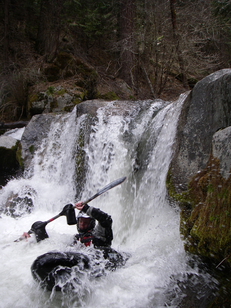 Paddle Snatcher