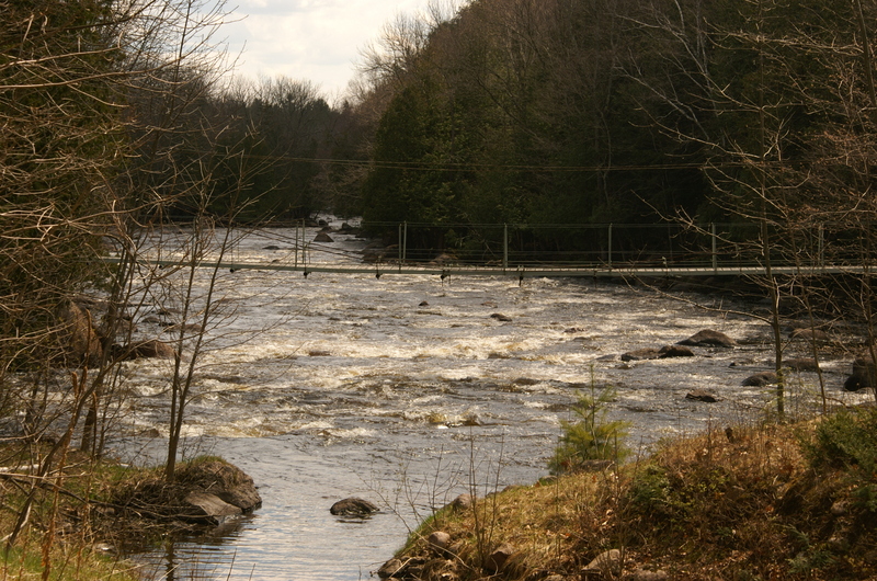 Boy Scouts Rapid (2nd foot bridge)