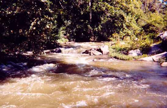 Z Turn Rapids
