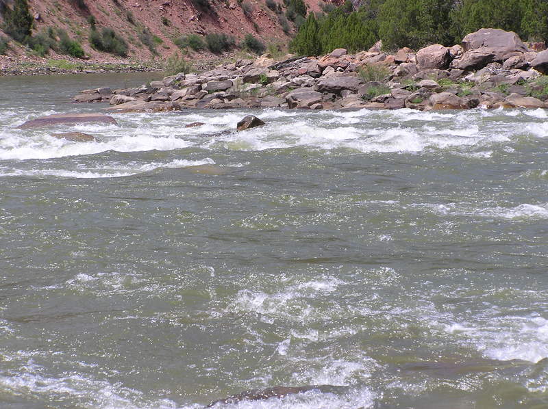 SOB Rapid