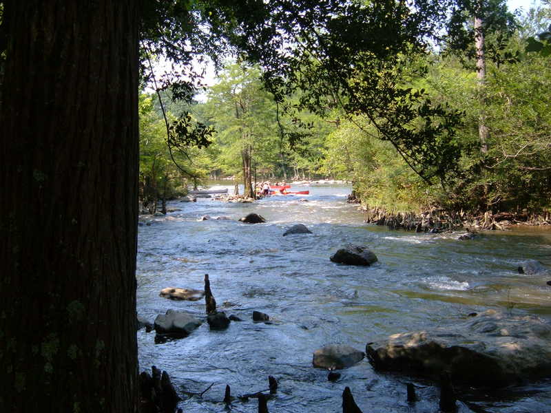 The Chute