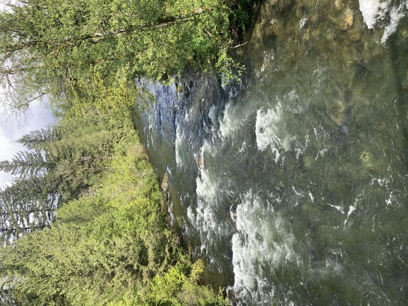 Entry Rapid