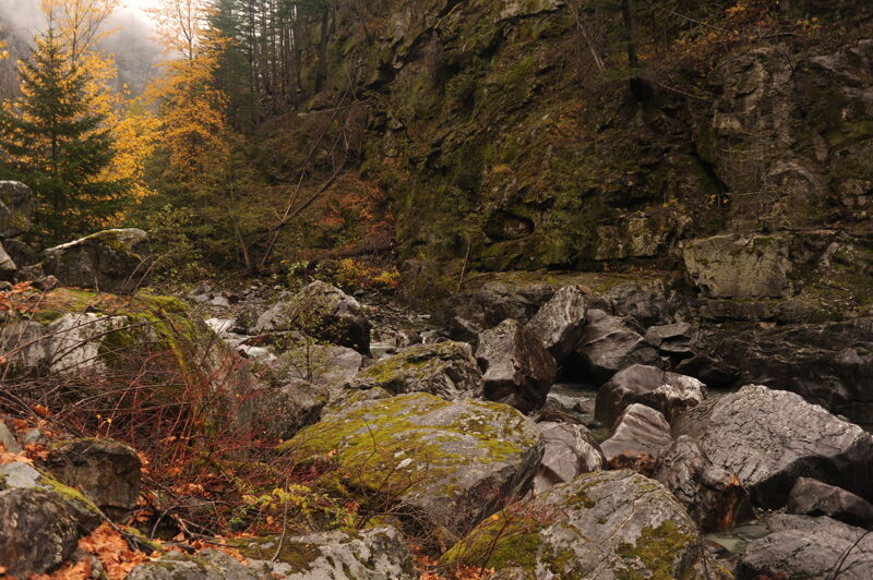 Dewatered Rapids at KOP F1.1