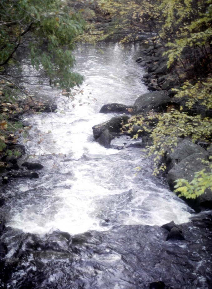 View from the bridge