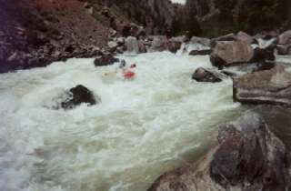 Gore Rapid