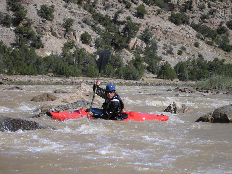 Moonshine Rapid