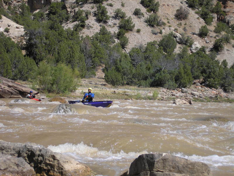 Moonshine rapid