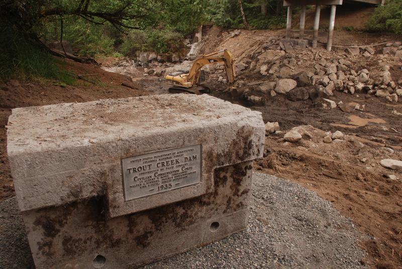 Restoring Trout Creek
