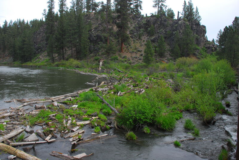 Log Jam Immediately Downstream of Take-Out