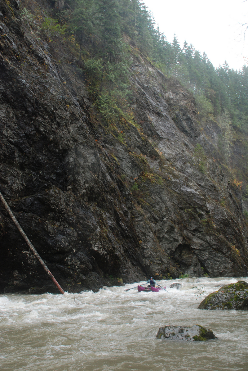 Whitewater Flow Study Day 3