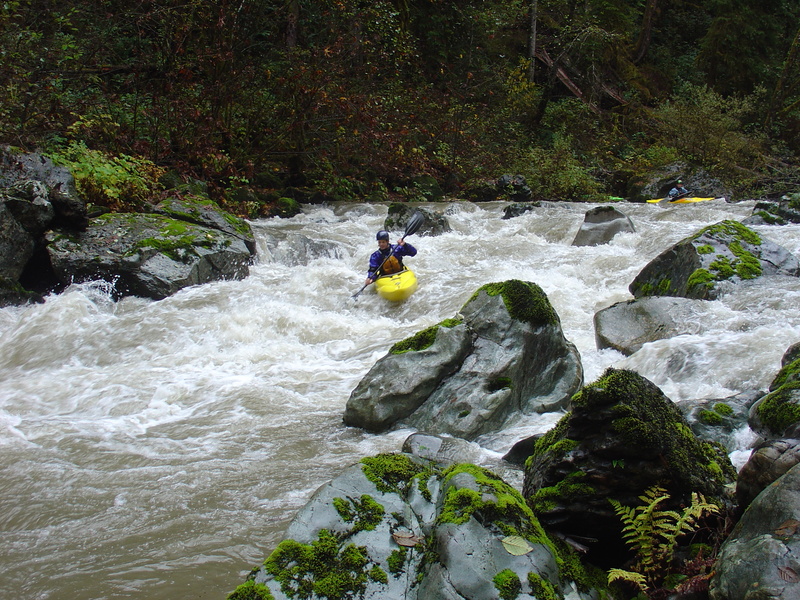 Whitewater Flow Study Day 1