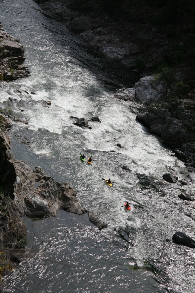 Cal Salmon From Above