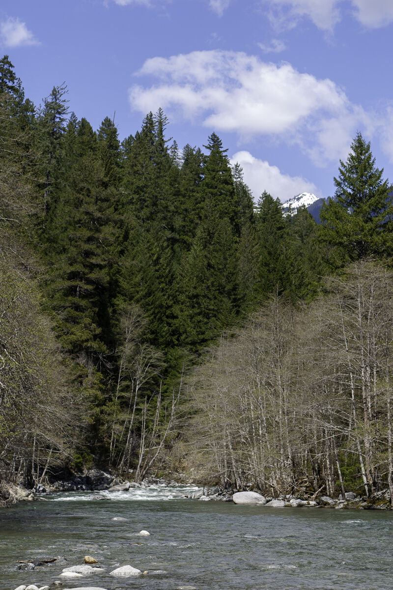 Creek view from Wooley Camp