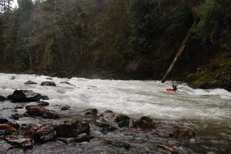 Leader Rapids