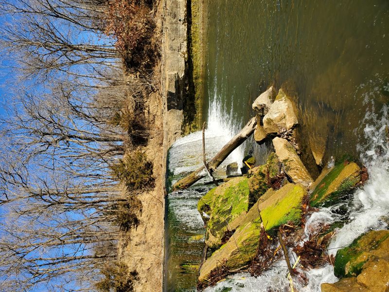 Elk @Elk Falls (PnH)