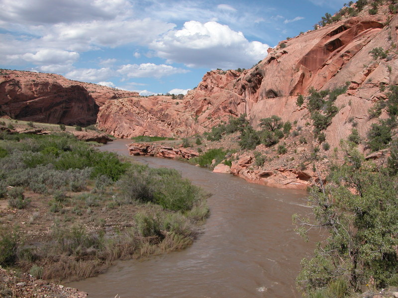 Lower Dolores River Canon