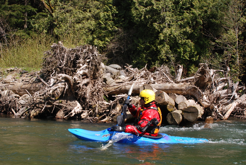 Engineered Log Jam on Green