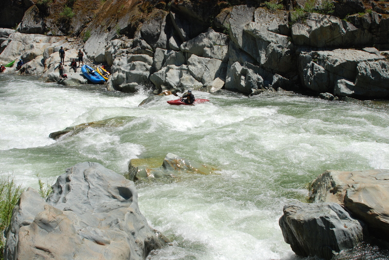 Bogus Thunder, from upstream