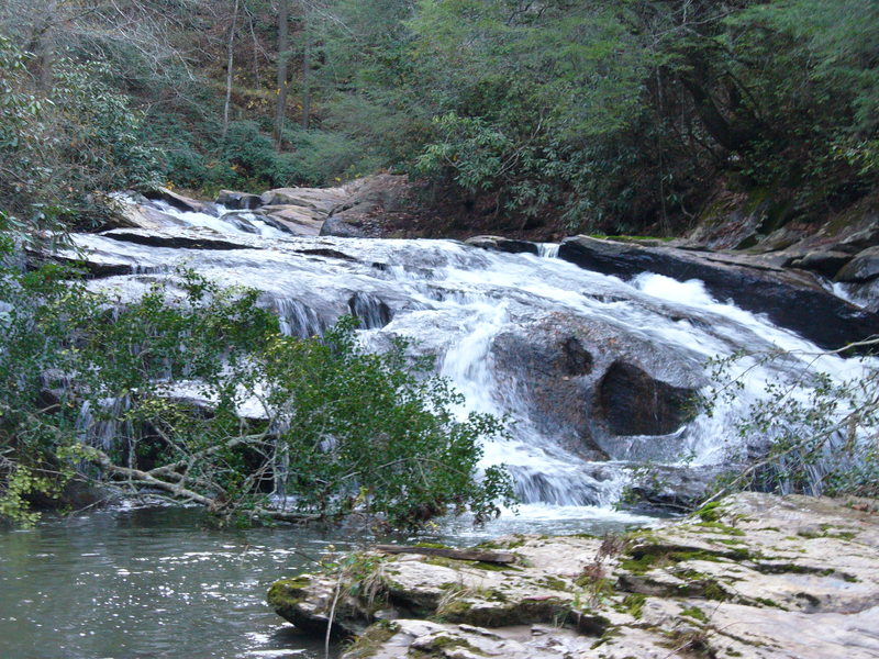 5th Major rapid