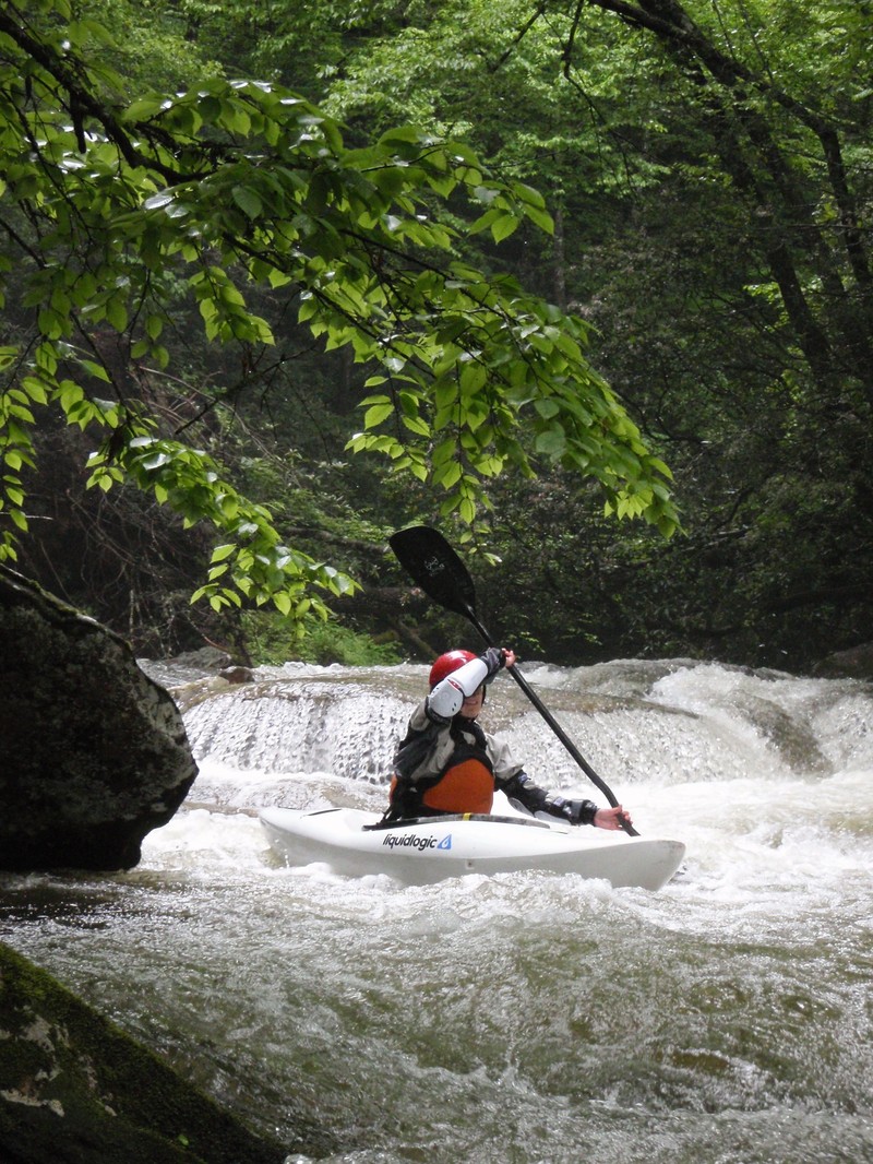 Natalie Matthews Davidson Pisgah NF