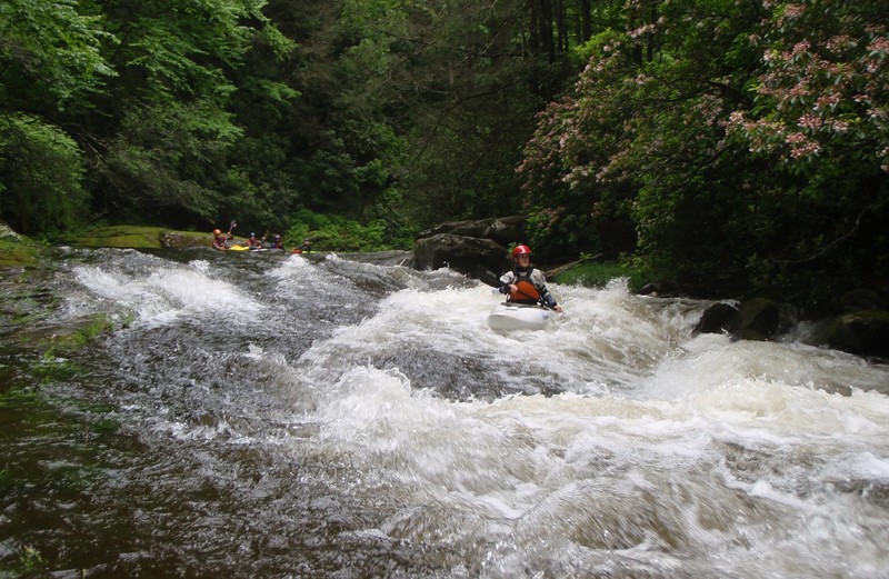 Natalie Matthews Davidson Pisgah NF