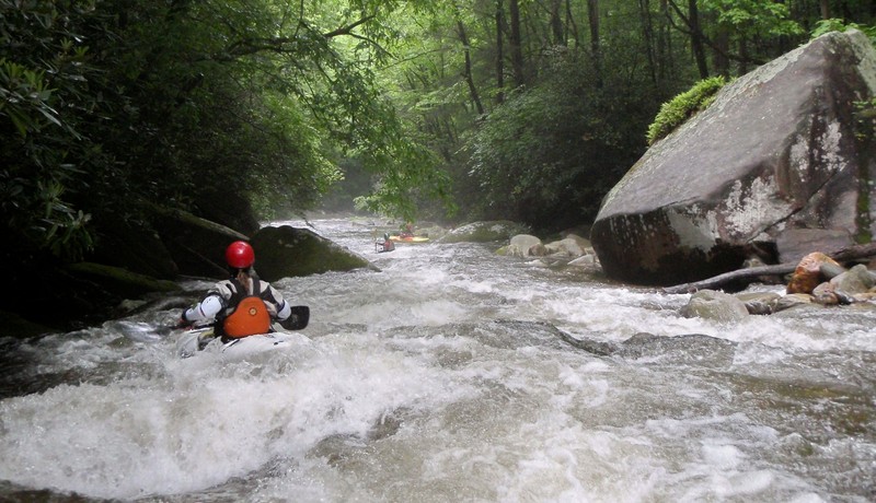 Natalie Matthews Davidson Pisgah NF