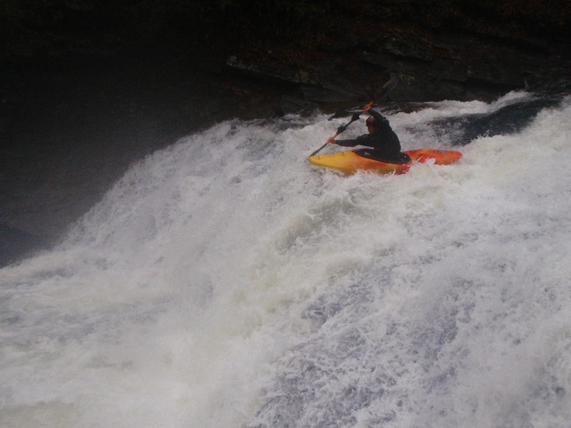 Royce Cowan Super Soc Em Dog