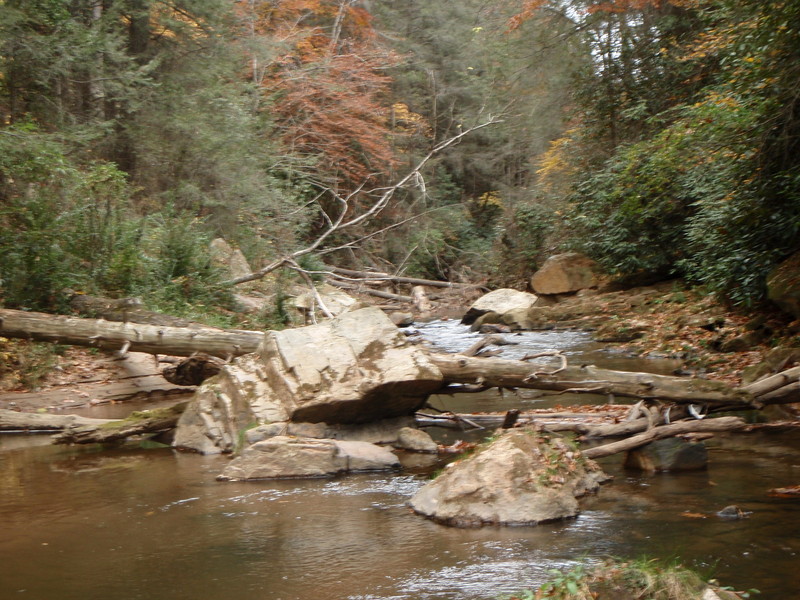 Log Jams