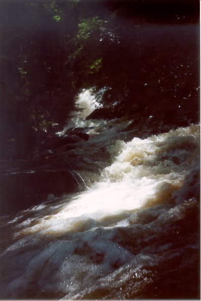 Laurel Run