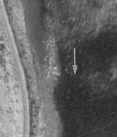 Hurry Left Satellite Photo