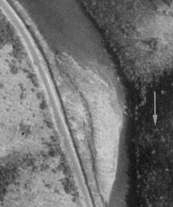 Rattler Satellite Photo
