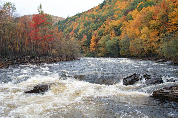 Oxbow 1