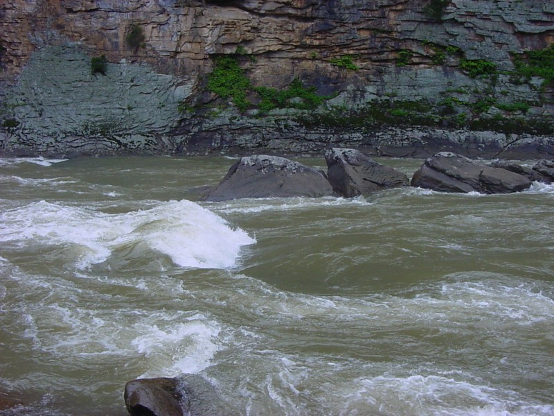 Surf Hole