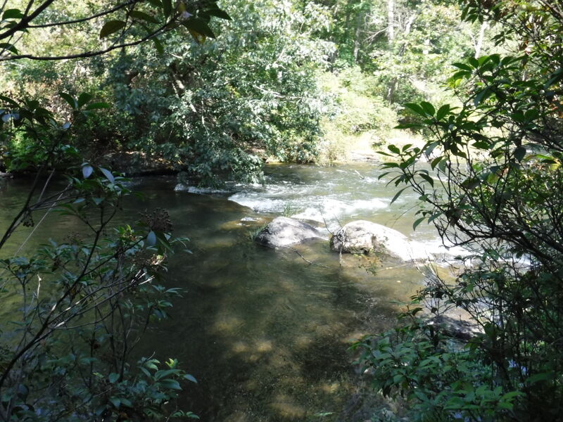 "Beaver Ledge"