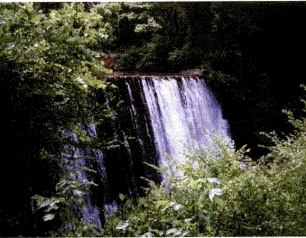The Dam
