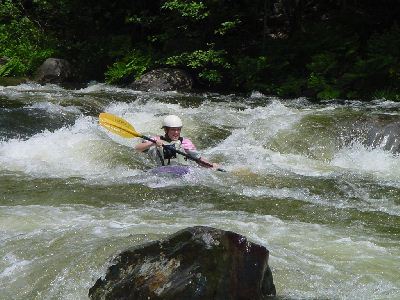 False Tooth Rapid