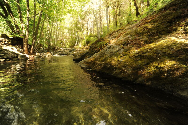 Whiskey Creek