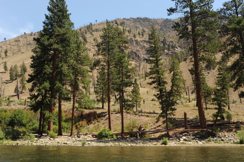 White Creek Camp (RR)