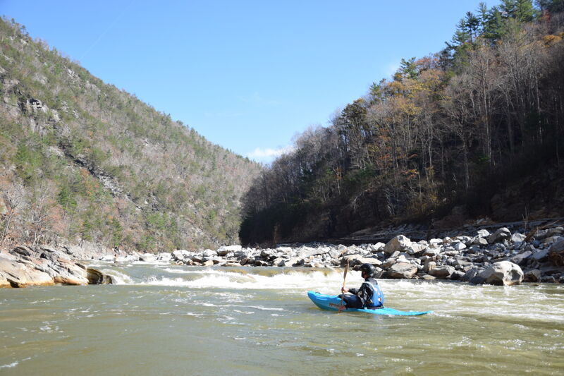 Roostertail